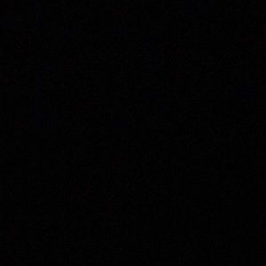 Meet your Posher, Lucy